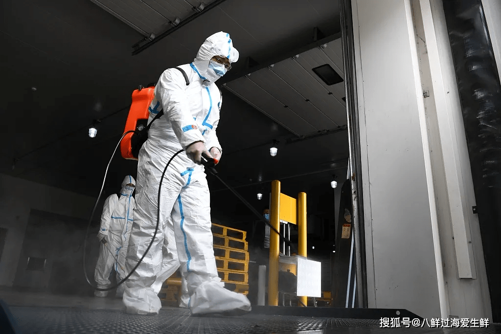 NBA总决赛赛程吃紧，上海申花国际比赛日止住颓势，压力陡增，医务组通报恢复的简单介绍